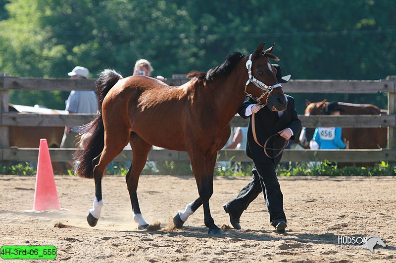 4H-3rd-06_555.jpg