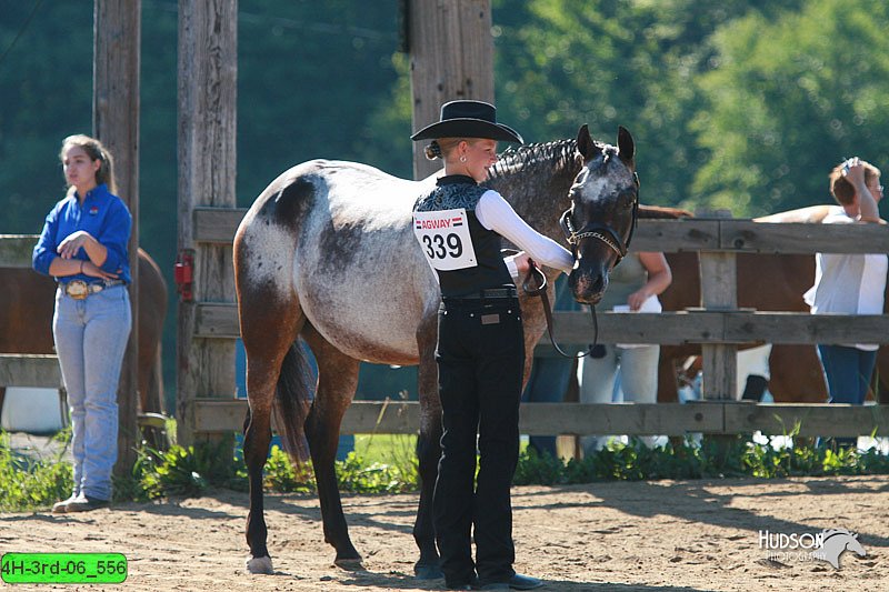 4H-3rd-06_556.jpg