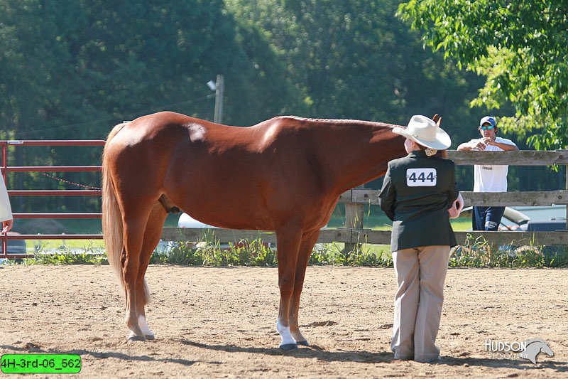 4H-3rd-06_562.jpg