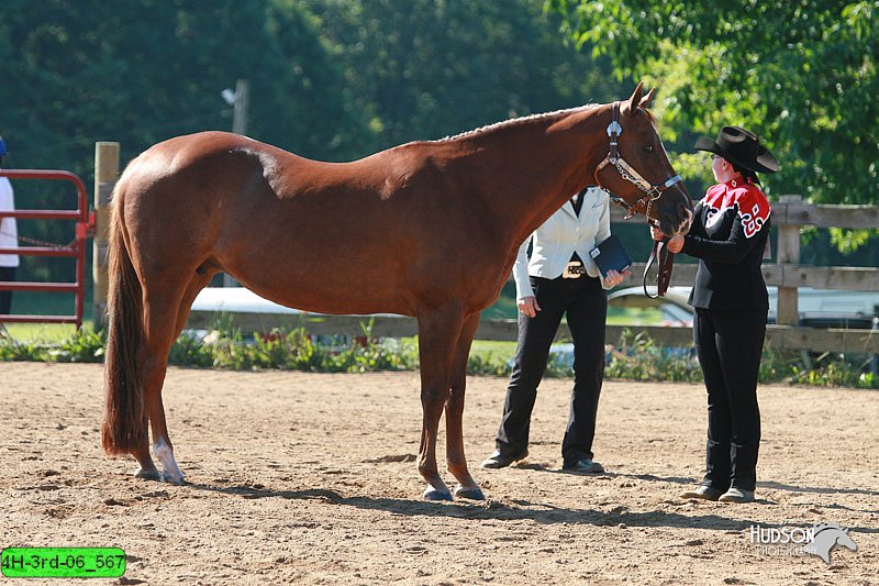 4H-3rd-06_567.jpg