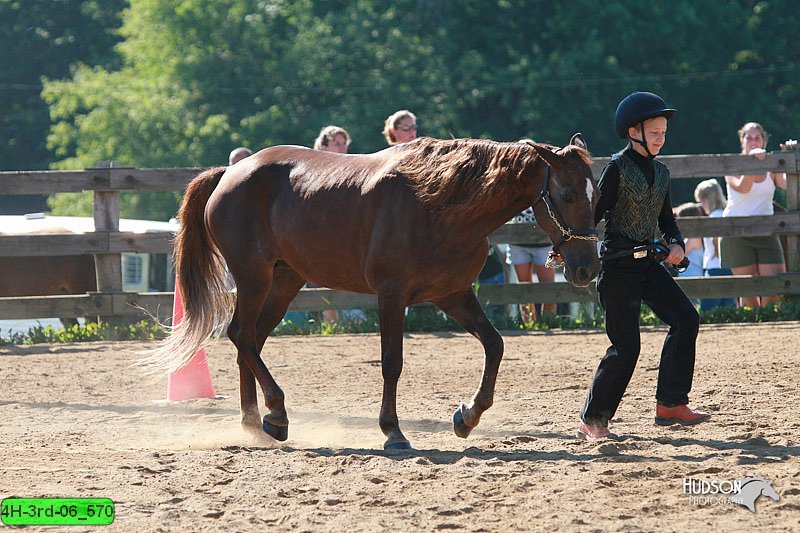 4H-3rd-06_570.jpg