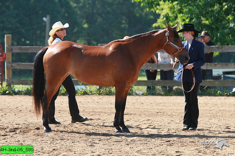 4H-3rd-06_580.jpg