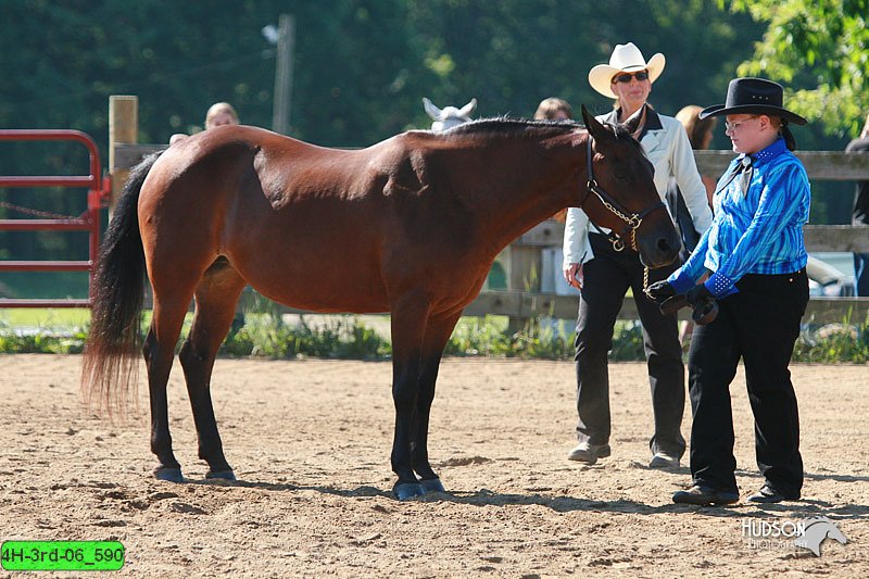 4H-3rd-06_590.jpg