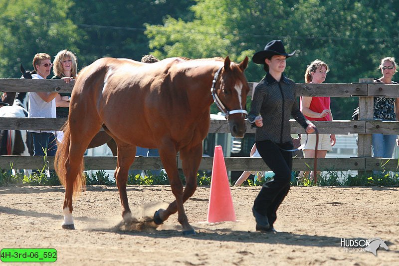 4H-3rd-06_592.jpg