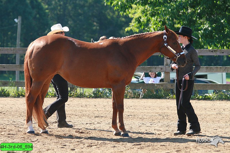 4H-3rd-06_594.jpg