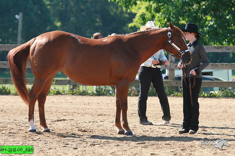 4H-3rd-06_595.jpg