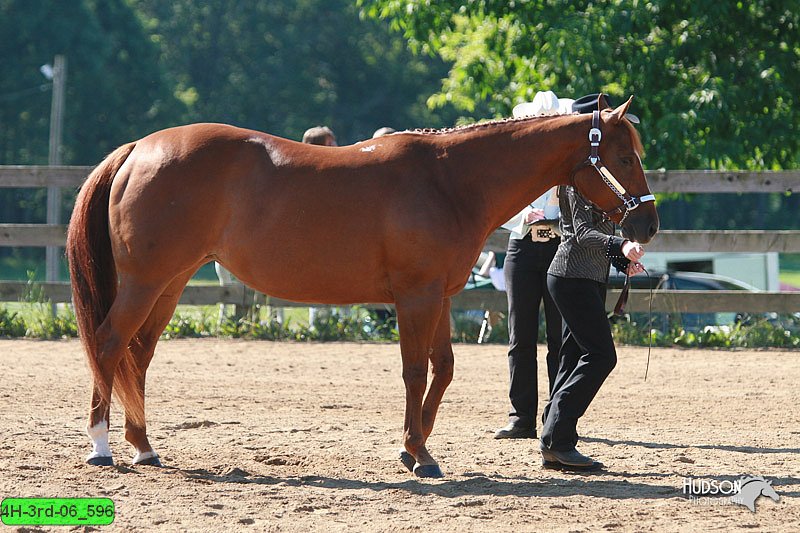 4H-3rd-06_596.jpg