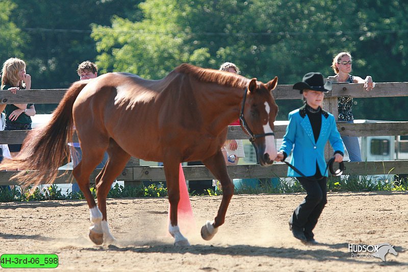 4H-3rd-06_598.jpg