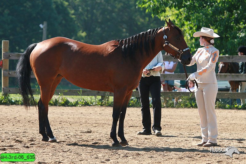 4H-3rd-06_635.jpg