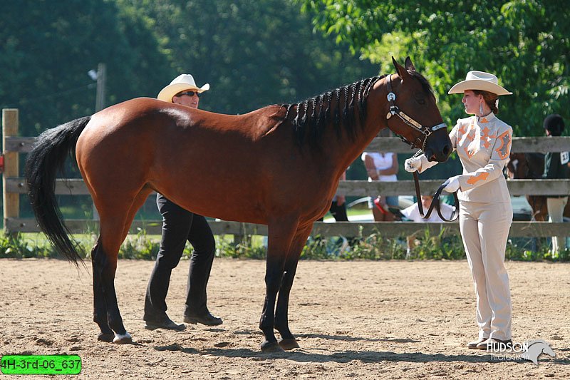 4H-3rd-06_637.jpg