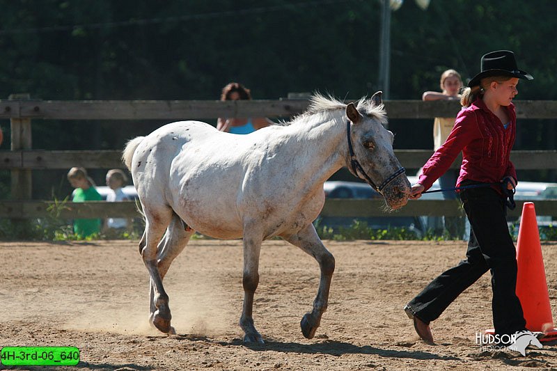4H-3rd-06_640.jpg