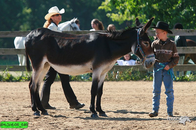 4H-3rd-06_646.jpg