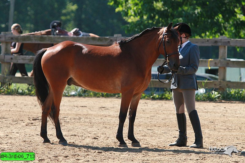 4H-3rd-06_713.jpg