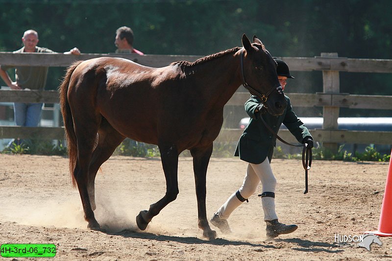 4H-3rd-06_732.jpg