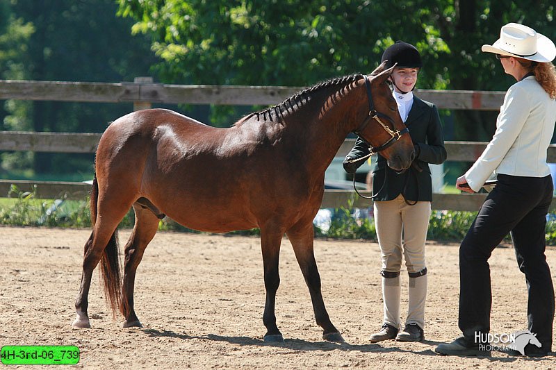 4H-3rd-06_739.jpg