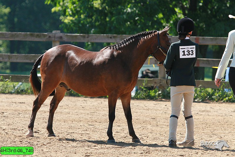 4H-3rd-06_740.jpg