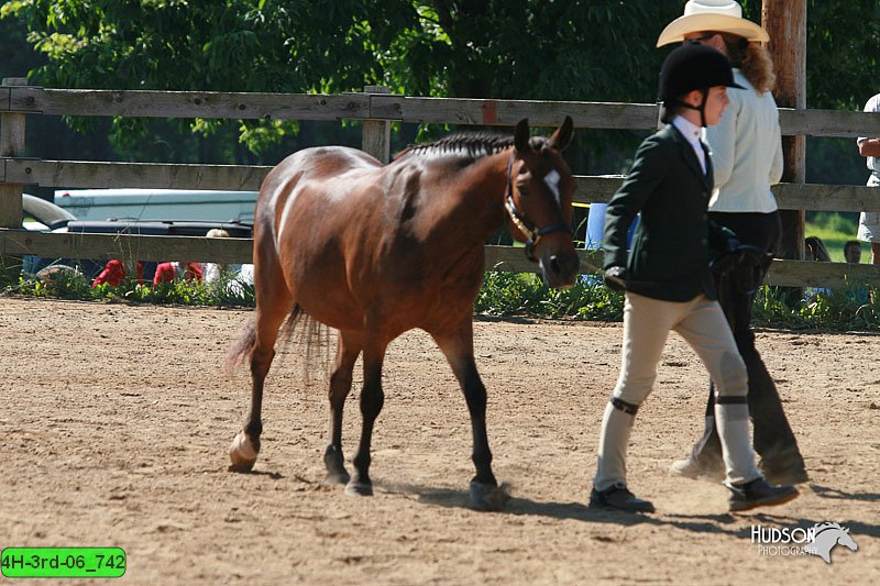 4H-3rd-06_742.jpg