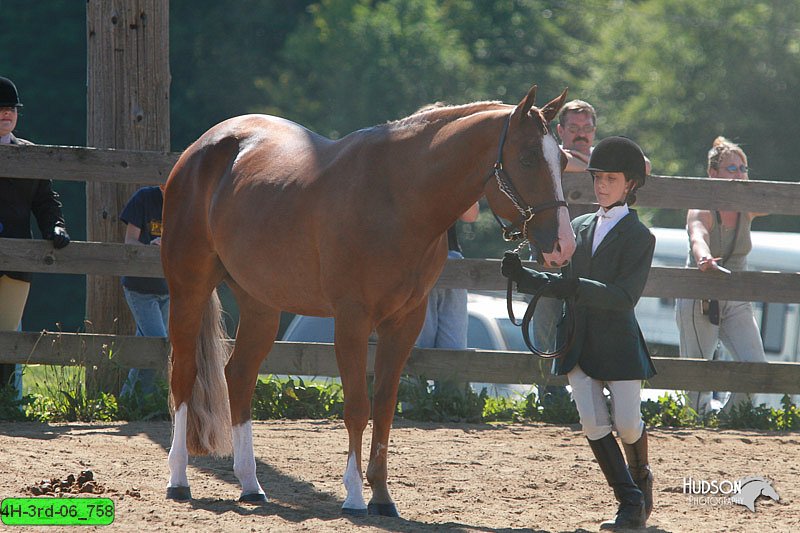 4H-3rd-06_758.jpg