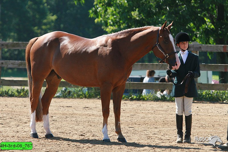 4H-3rd-06_767.jpg