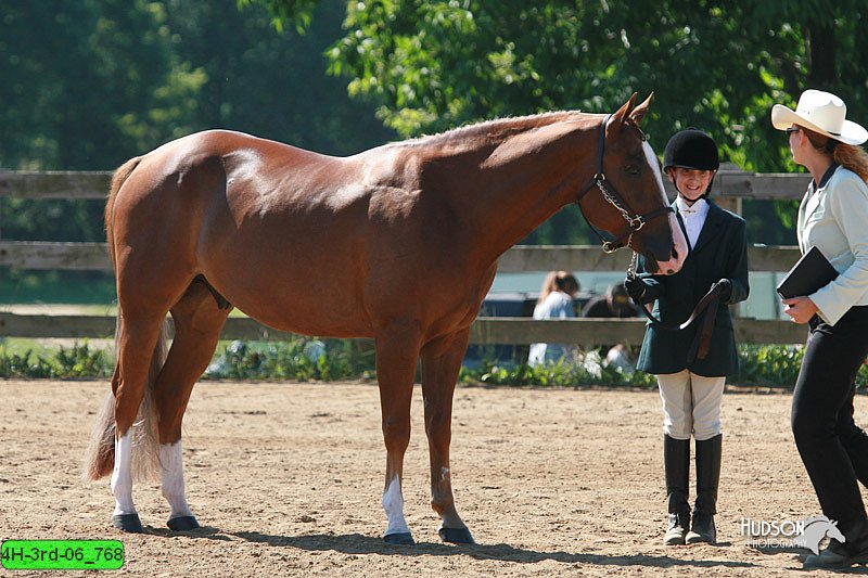4H-3rd-06_768.jpg