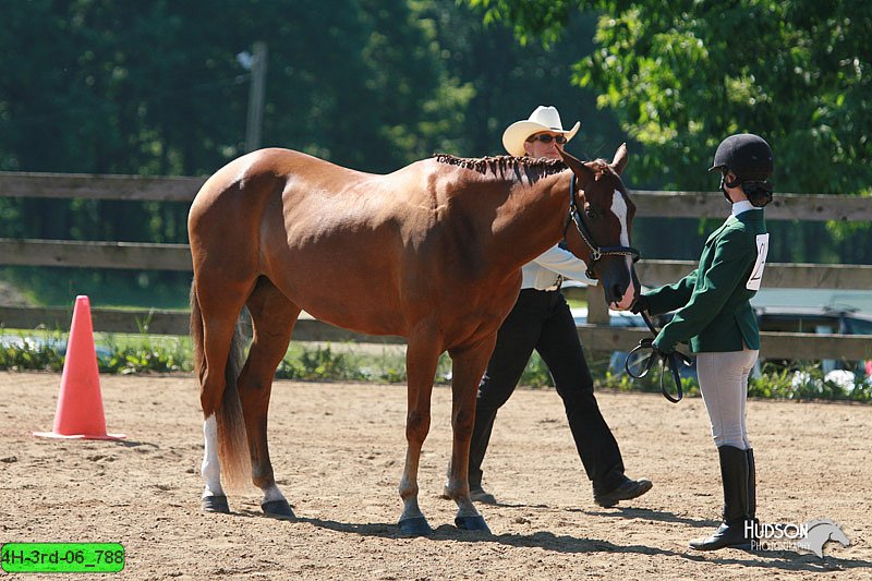 4H-3rd-06_788.jpg