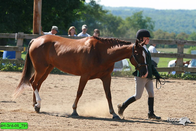 4H-3rd-06_791.jpg
