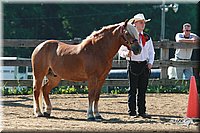 4H-3rd-06_525.jpg