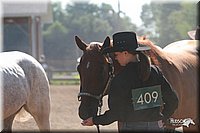 4H-3rd-06_540.jpg