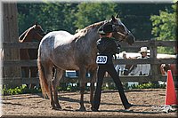 4H-3rd-06_551.jpg