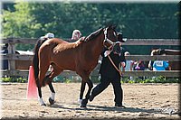 4H-3rd-06_554.jpg