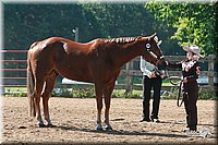 4H-3rd-06_559.jpg