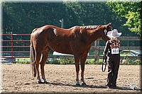 4H-3rd-06_560.jpg