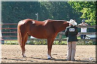 4H-3rd-06_562.jpg