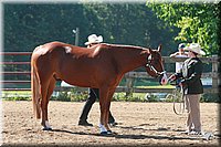 4H-3rd-06_563.jpg