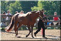 4H-3rd-06_564.jpg
