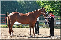 4H-3rd-06_565.jpg