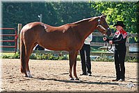 4H-3rd-06_566.jpg