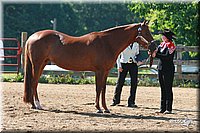 4H-3rd-06_567.jpg