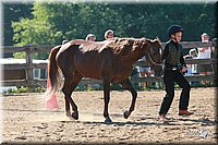 4H-3rd-06_570.jpg