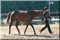 4H-3rd-06_571.jpg