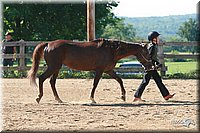 4H-3rd-06_573.jpg