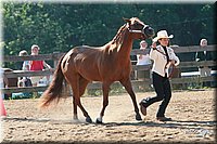4H-3rd-06_575.jpg