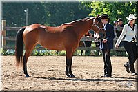 4H-3rd-06_579.jpg