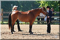 4H-3rd-06_580.jpg