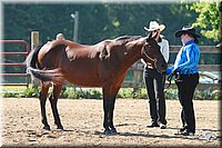 4H-3rd-06_587.jpg