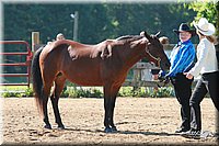 4H-3rd-06_589.jpg