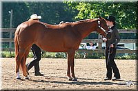 4H-3rd-06_594.jpg