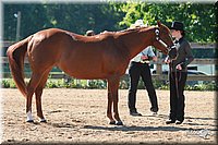 4H-3rd-06_595.jpg