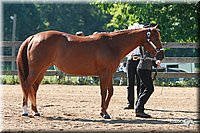 4H-3rd-06_596.jpg