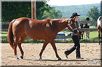 4H-3rd-06_597.jpg
